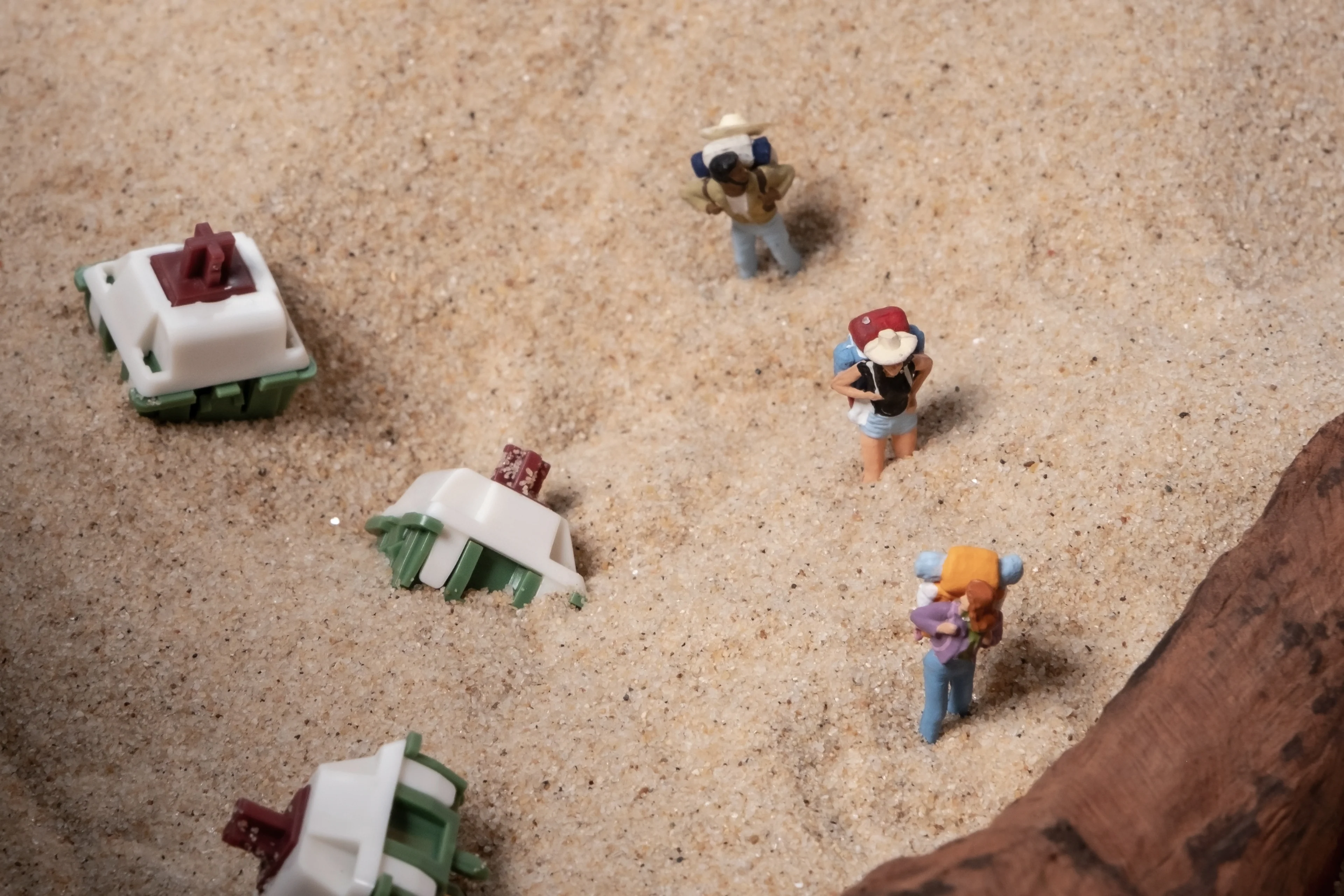 Neson Design Camping Life Switches (35 switches per box) - Image 5