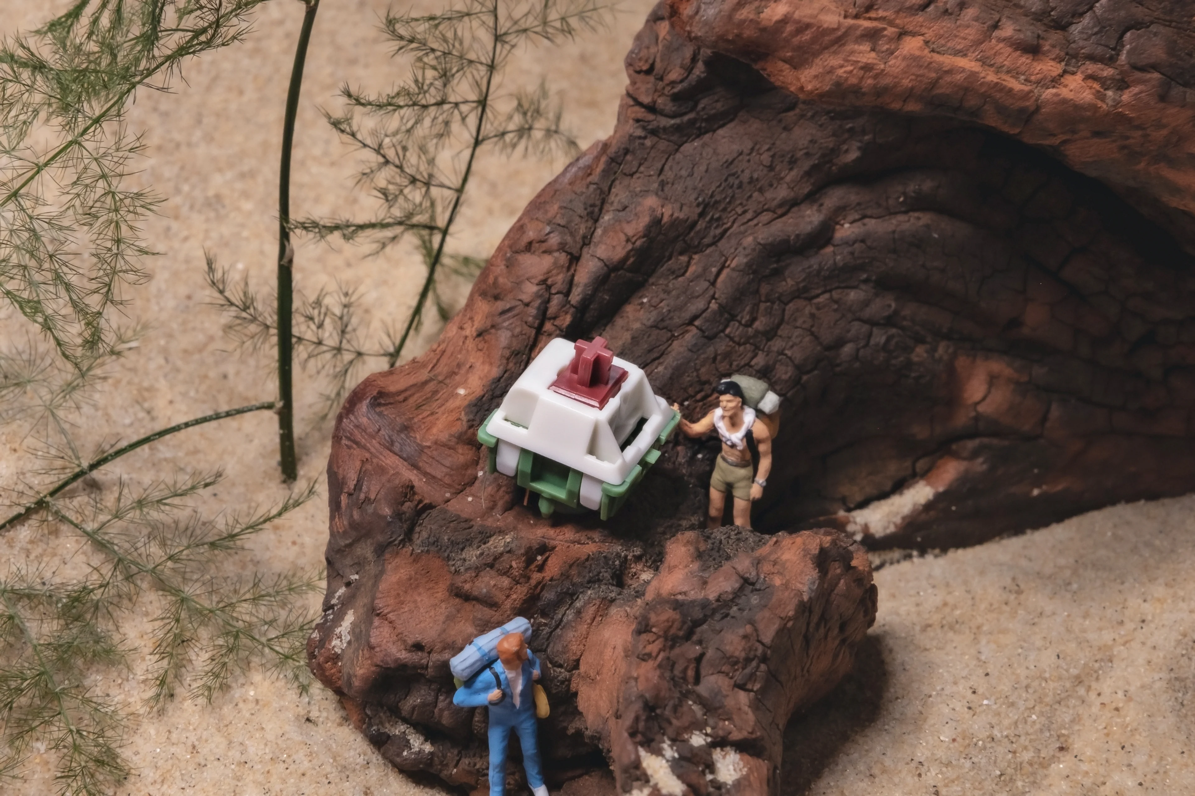 Neson Design Camping Life Switches (35 switches per box) - Image 6